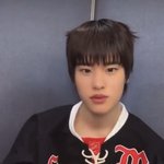 라이스 소희 닮은 <b>동물</b> 찾음