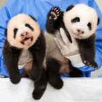 [댓글부탁해] 난 학교가는 거 <b>조음</b>