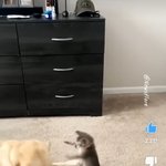 [TXT] 이거 휴강즈