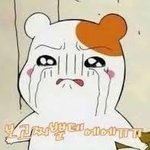 [19] 19ㄴ 진짜잘생긴편 <b>심심</b>해연락하자ㅏ