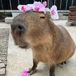 용기를 <b>주셈</b> 제발 나에게