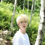 방탄 <b>진</b> 2019 시<b>그</b>