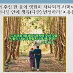 구절강해(막10 6 10 유튜브 교회 #활공교회, 설교원본-BAND:...