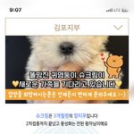 [<b>펫샵</b>] 보호소를 가장한 <b>펫</b><b>샵</b>사기 없어지길 바랍니다