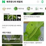 너네 번데기가 배추흰<b>나비</b>애벌레 라는 거 앎?