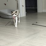 [비트이더] [비트이더]주말은 뒹굴뒹굴