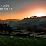 룸 프레이징‍♂️(시편23편-박종호, 유튜브 교회 #활공교회, BAND:...