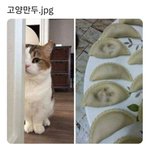 <b>이리</b> 와서 만두 먹어라