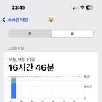 스크린<b>타임</b> 17시간