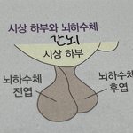 너네 이상형 mbti 뭐임?