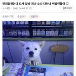 [댓글부탁해] <b>하위</b>지거국 갓다하면 먼생각들어