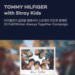 [스키즈] 타.미힐.피거 글로벌 <b>앰배서더</b> ??