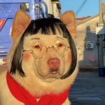 니엄마는민츌이랑 니누나는<b>내동</b>생우와ㅋㅋ