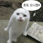아직도 대학 다 안<b>정한</b> 고3있냐