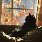 나 김애옹... <b>사색</b>을 즐기는 편