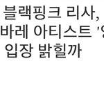 리사 기사 뭐임..??