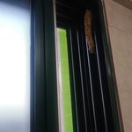 [이것좀봐줘] 디따 큰 <b>애벌레</b>