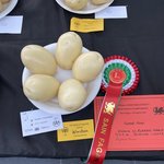 [<b>TXT</b>] 보자마자 투바투 생각남