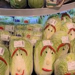 [댓글부탁해] 이거 ㅈㅂ조언좀 제발