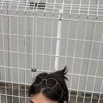 [댓글부탁해] <b>아침</b>에 뭐먹으면 부어???