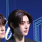 [모두드루와] 강아지들이 티파니 휩쓸고갔네