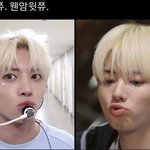 [TXT] 웬<b>암</b>윗쮸