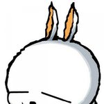 비공갤하던 갤<b>줌들</b> 티나