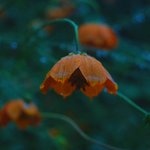 잘찍은거임못찍은거임(추가+글)