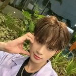 호라이즌 윈스턴 호감