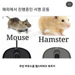 <b>무선</b>마우스는 햄스터다