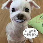 [댓글부탁해] 짝사랑할 <b>때의</b> 내가 그리움
