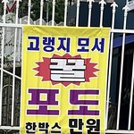 [드루와] <b>치악산</b>복숭아 당도최고