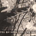 혼자 300명을 죽인 전설의 여성 저격수