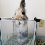 <b>동작</b>그만 딱 걸렸어