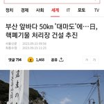 <b>부산</b> 분들... 윤석열 찍은거 만족하시나요