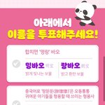 푸바오의 쌍둥이동생 이름<b>후보</b><b>군</b>