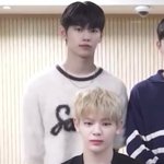 이정현 유승언 머리