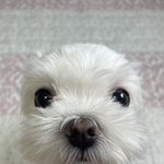 짝<b>남어</b>캄ㅈ댐제발얘들아