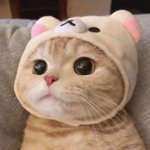 <b>마리</b>망 제목좀 알려줘