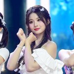 [댓글부탁해] 설윤 <b>알파카</b> 닮지 않았어?