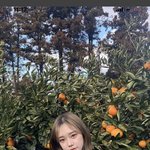 윤ㄷ<b>요미</b> 스펙 얼마야