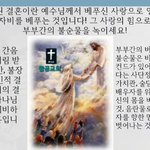 구절강해(막10 11 12 유튜브 교회 #활공교회, 설교원본-BAND:...