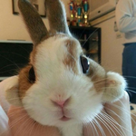 나두 보조개 자랑해야지지이