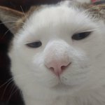 나진짜 ㅈㄴㅈㄴㅈㄴㅈㄴㅈㄴ<b>찌질</b>한듯