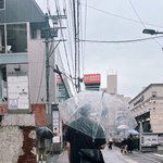 오늘 <b>유사</b> ㅈㄴ 퍼먹임당함