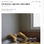 아니 빌라면 무조건 흙<b>수저</b>야? 진짜 어이없다