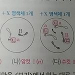 [댓글부탁해] <b>생명</b>하는애들아 질문ㅠㅠ