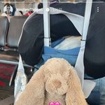 [이것좀봐줘] 잼<b>리퍼블릭</b> 탈락