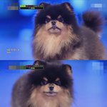 방탄 뷔 지난주 음방 얼굴