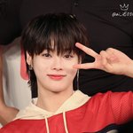 혹시 고양이 <b>왕국</b>이라고 알아?